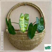 Lade das Bild in den Galerie-Viewer, LATHIKA Wall Planter