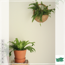 Lade das Bild in den Galerie-Viewer, LATHIKA Wall Planter