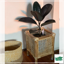 Load image into Gallery viewer, YARAH Planter