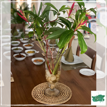 Lade das Bild in den Galerie-Viewer, AVARTANA Trivet