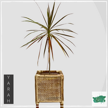 Load image into Gallery viewer, YARAH Planter