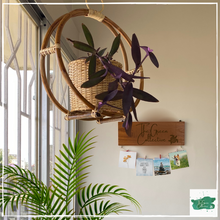 Lade das Bild in den Galerie-Viewer, ANJUM Suspended Planter