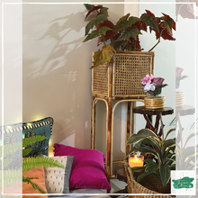 Lade das Bild in den Galerie-Viewer, PALLAVI Planter
