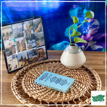 Load image into Gallery viewer, PARIDHI Trivet