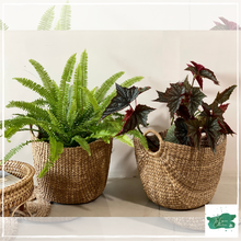 Lade das Bild in den Galerie-Viewer, ROYAL RUMMAGE Storage Basket