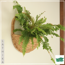 Load image into Gallery viewer, LATHIKA Wall Planter
